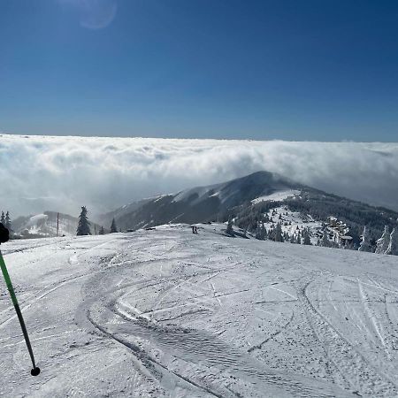 Kopaonik -Beautiful View Apartment- Skiing エクステリア 写真