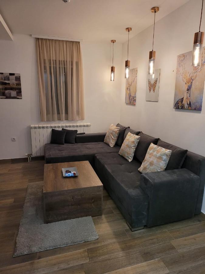 Kopaonik -Beautiful View Apartment- Skiing エクステリア 写真