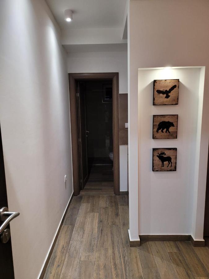 Kopaonik -Beautiful View Apartment- Skiing エクステリア 写真