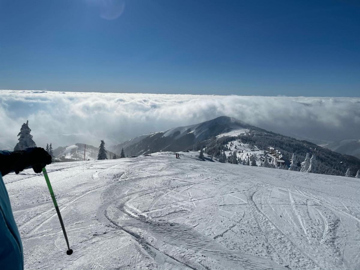 Kopaonik -Beautiful View Apartment- Skiing エクステリア 写真