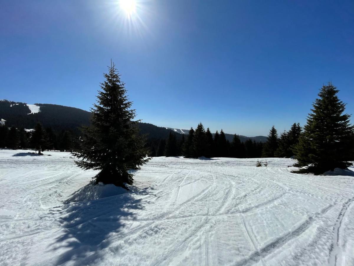Kopaonik -Beautiful View Apartment- Skiing エクステリア 写真