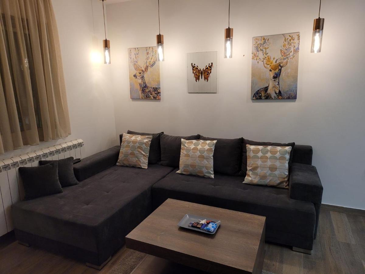 Kopaonik -Beautiful View Apartment- Skiing エクステリア 写真